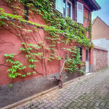 Sublime Maison Alsacienne Entierement Renovee Оберне